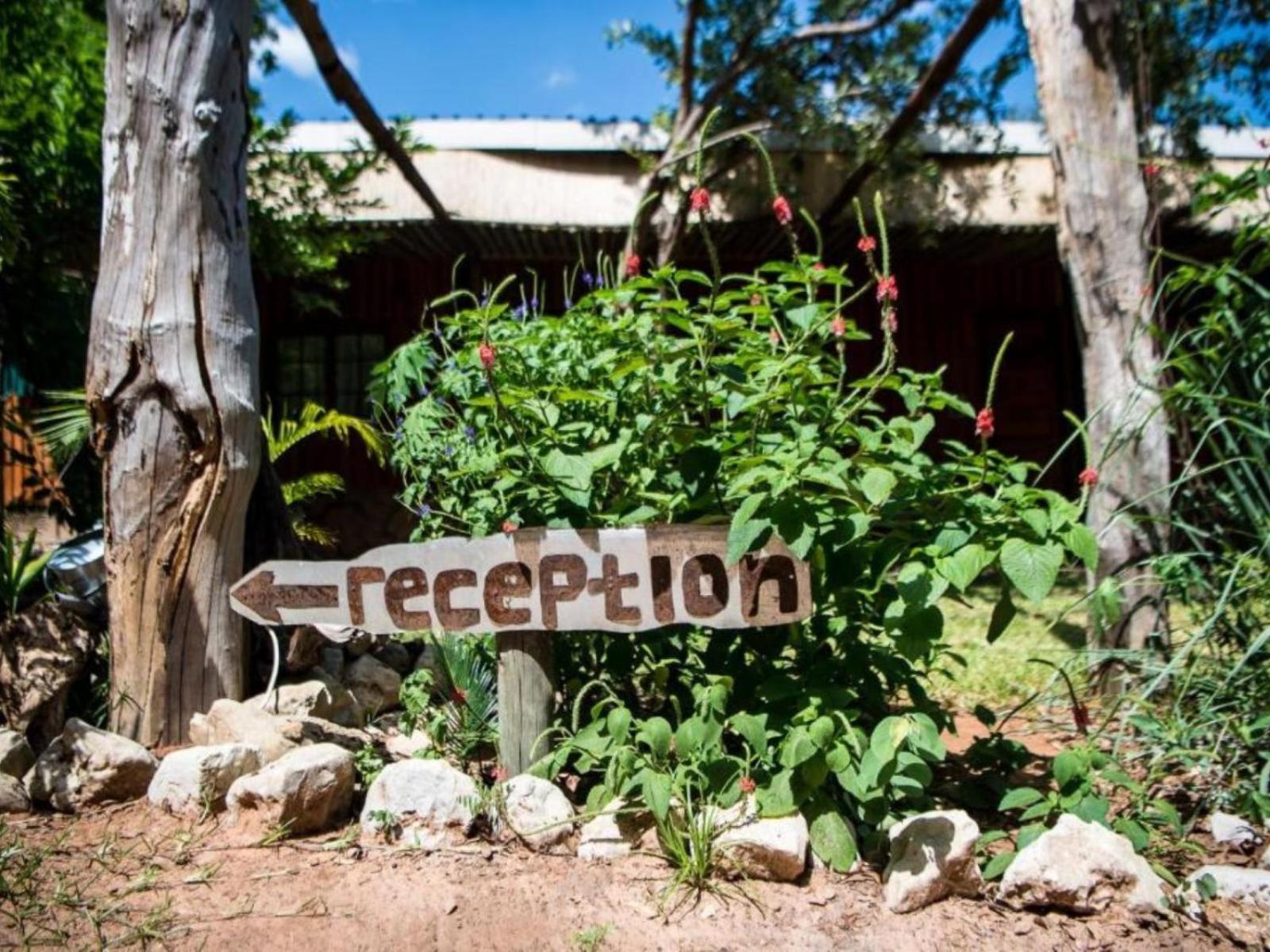 Nxabii Cottages カサネ エクステリア 写真